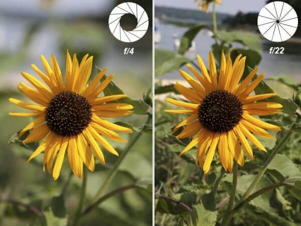 Best Camera Buying Guide: How To Choose The Best Camera? 13 Aperture