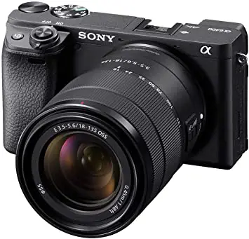 Best Camera Buying Guide: How To Choose The Best Camera? 2 Mirrorless Camera